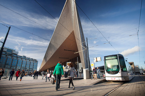 Rotterdam i Delft: 1-dniowa wycieczka z lokalnym przewodnikiem