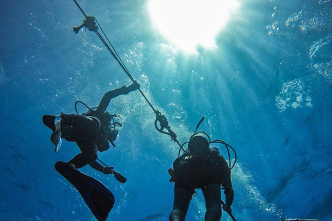 Private: Punta Cana Catalina Island Scuba Diving & Beach Day