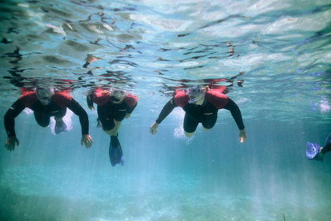 Rottnest Island: Guided Snorkeling Boat Tour with Gear