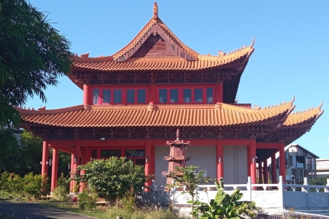 Île de la Réunion : Temples et religions visite d'une demi-journéeChauffeur/guide parlant chinois