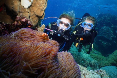 Port Douglas: duik en snorkel in Poseidon Outer Barrier ReefPoseidon 1 introductieduik