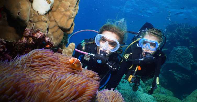 Port Douglas: Full-Day Outer Barrier Reef Dive and Snorkel