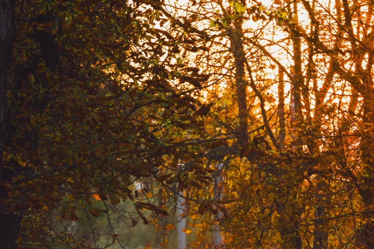 Graz Instagram Photo-Tour: K-Style Portraits In Iconic Spots