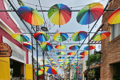 Puerto Plata: Monkey home, Damajagua Waterfalls & City Tour
