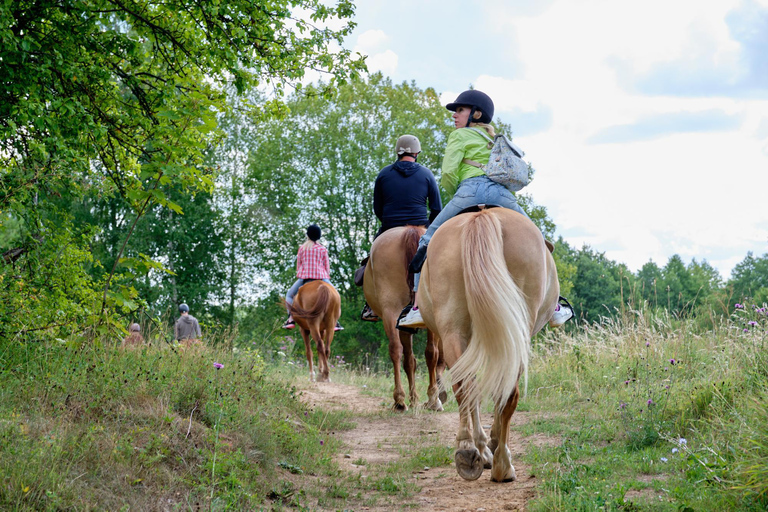Corfu: Beachside Horseback Ride with Coastal Views Corfu: Sunset Beachside Horseback Ride with Coastal Views