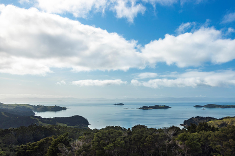 Auckland: Waiheke Island Man O' War Forest Flight Zipline Auckland: Waiheke Island Man O' War Zipline Adventure