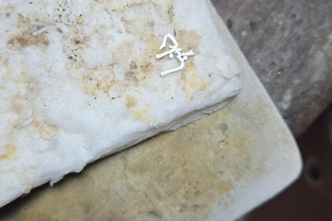 科伦坡：珠宝工坊体验（3-6 小时，免费珠宝）