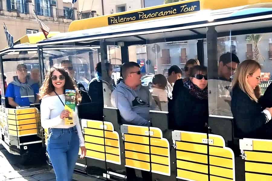 Panoramabuspas en toeristentreintje om de stad te ontdekken