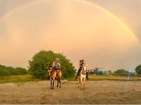 Cartagena, Escursione a cavallo sulla spiaggia - Hizvo