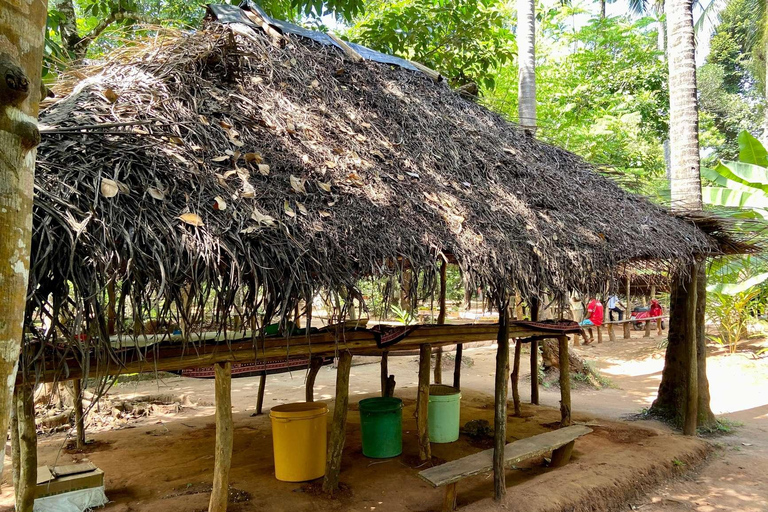 Zanzibar: Jozani Forest, Spice Farm and Stone Town City Tour Private tour no hotel pick-up and drop-off included