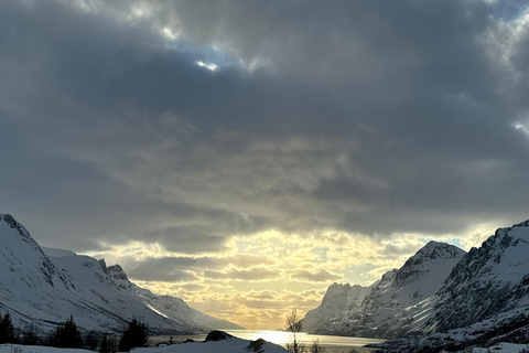 Fjord photo tour to Sommaroy with a 1-hour break