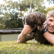 From Gold Coast: Australia Zoo Transfer and Entry Ticket