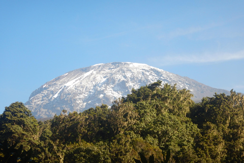 Mount Kilimanjaro: Umbwe Roure climbing