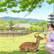 Osaka: Kyoto & Nara & Uji Tour, Todaiji, Fushimi Inari Taisha