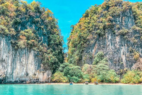 Phuket : Le plancton bioluminescent de la baie de Phang Nga et les canoës de merTransfert aller-retour à l'hôtel inclus