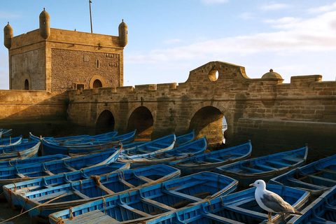 Essaouira Day Trip from Marrakech: Medina & Atlantic Coast Private Essaouira Day Trip