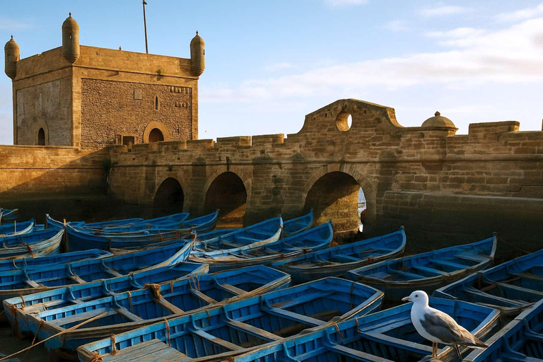 Essaouira Day Trip from Marrakech: Medina & Atlantic Coast Private Essaouira Day Trip