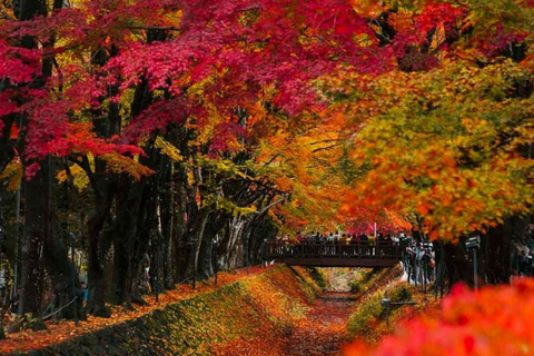 Excursion d'une journée aux 5 principaux sites du Mont Fuji : Parc Arakurayama, Oshino HakkaiDépart à 8h30 de la gare de Shinjuku.