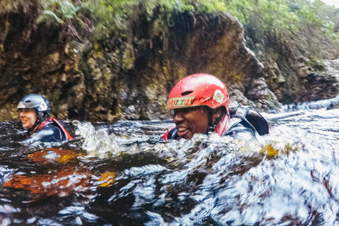 Plettenberg Bay: Canyoning Trip Plettenberg Bay: Standard Canyoning Trip
