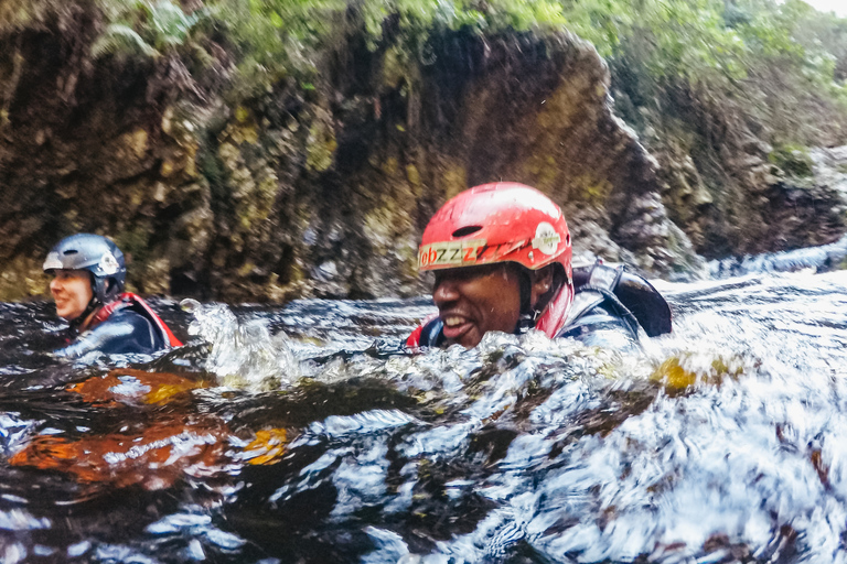 Plettenberg Bay: Canyoning Trip Plettenberg Bay: Standard Canyoning Trip