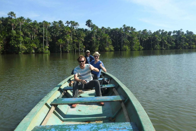 2DAY|| Collpa de Guacamayos: Espectáculo Natural en la Amazonia