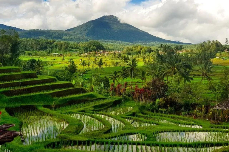 North Bali: Private Customizable Day Tour (All-Inclusive) make your own favorite itenerary