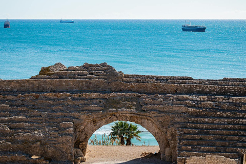 Barcelona: Tarragona Tour & Organic Wine Tasting