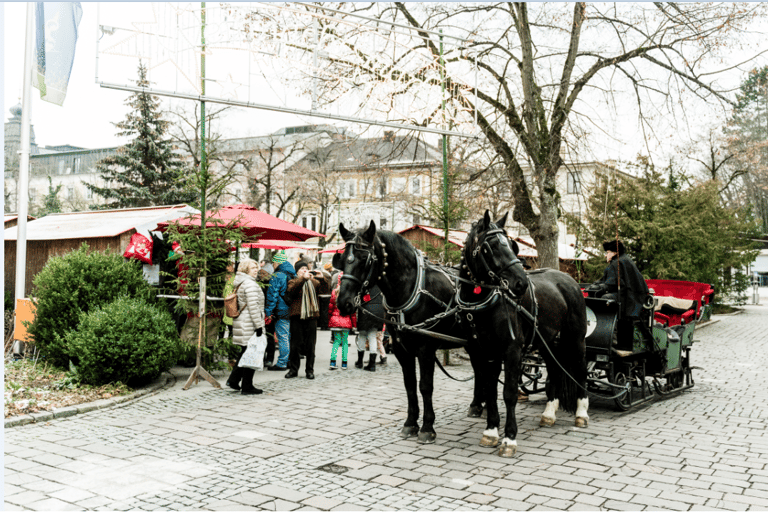 Bad Wörishofen: giro in carrozza storicaBambini