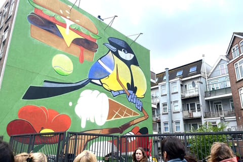 Rotterdam Street Art tour: Including a specialised guide
