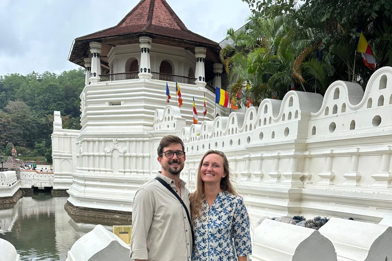 CMB/Negombo: Sigiriya, Kandy & Ella Private Tour with Driver Private Van with Driver – Up to 50 km