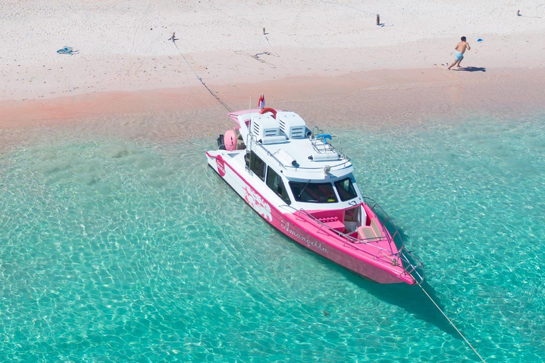 Labuan Bajo: Experince Komodo island with Amanqila speedboat