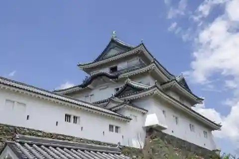 Wakayama: Customizable Private Day Tour