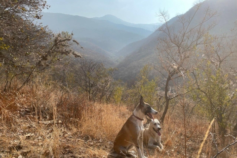 Hidden hiking trails with dogs at the Sierra Norte Monutains
