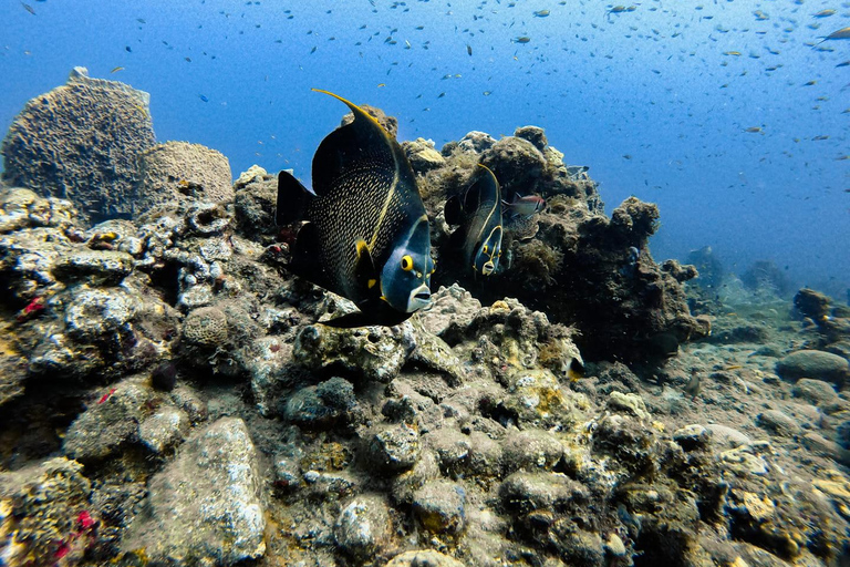 Immersioni subacquee