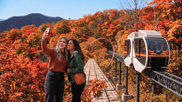 Best Hwadamsup Botanic Garden Day Tours from Seoul