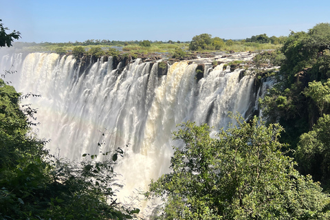 Victoria Falls: Guided Tour with Big Tree & Market Visit