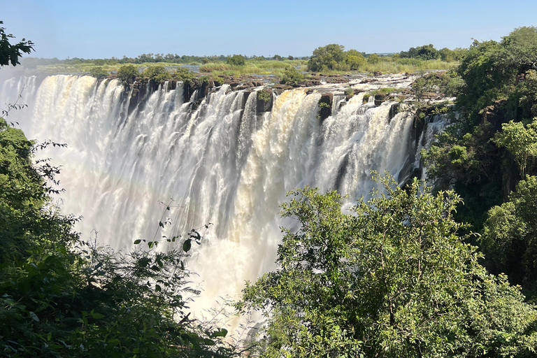 Victoria Falls: Guided Tour with Big Tree & Market Visit