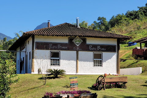 Aventure en Jeep à Paraty : sentier écologique, distillerie et baignade dans la rivièreAventure en Jeep à Paraty : parcours écologique, distillerie et baignade dans la rivièr