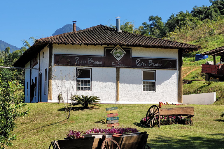 Aventure en Jeep à Paraty : sentier écologique, distillerie et baignade dans la rivièreAventure en Jeep à Paraty : parcours écologique, distillerie et baignade dans la rivièr