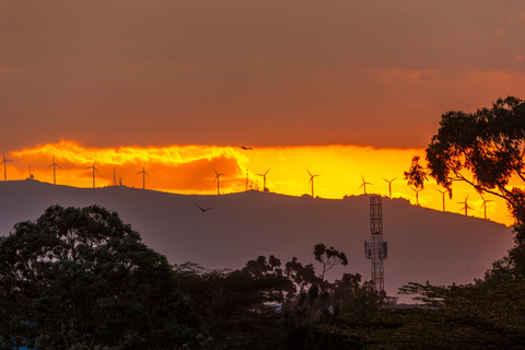 Nairobi: Vandring i Ngong Hills med transport och guide