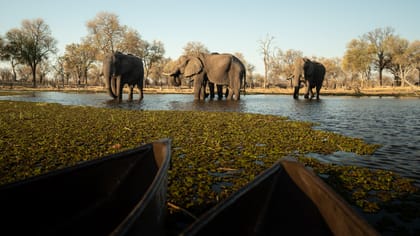 Kruger National Park, The Best 4 Day Budget Safari - Housity