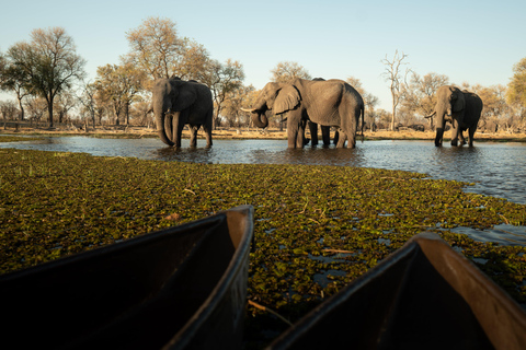 Parque Nacional Kruger: O melhor safári econômico de 4 dias