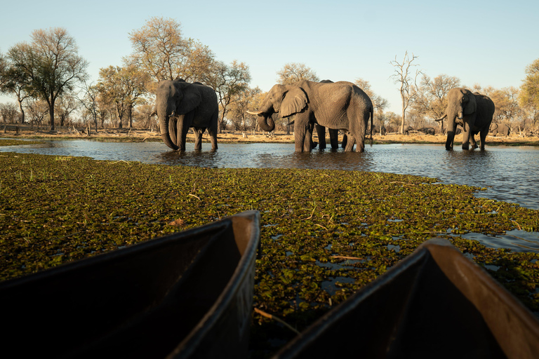 Parco Nazionale Kruger: Il miglior safari economico di 4 giorni