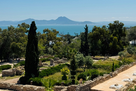 Visit Tunis: Sidi Bou Said, Carthage & Medina Tunis : Sidi Bou Said & Carthage & Medina guided tour