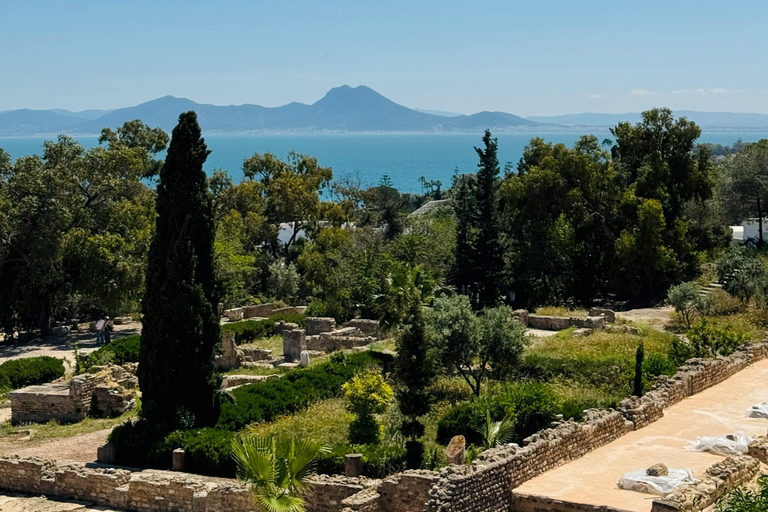 Visit Tunis: Sidi Bou Said, Carthage & Medina Tunis : Sidi Bou Said & Carthage & Medina guided tour
