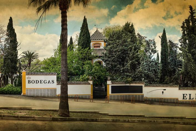 Córdoba: Visit and Tasting of Montilla-Moriles Wine at Bodegas Toro Albalá