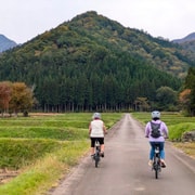 Yuzawa: Guided E-Bike Private Tour to Daigenta Lake