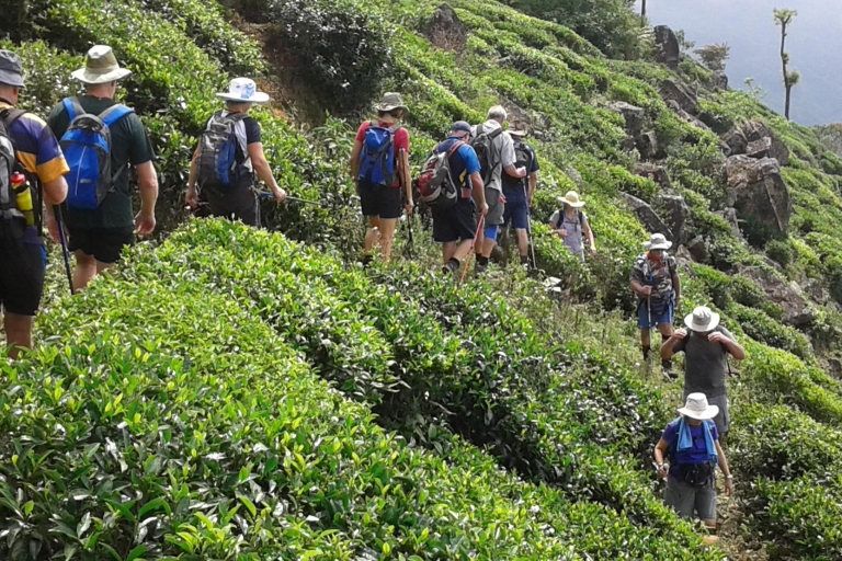 Sri Lanka-Urlaub mit einer Woche Trekking auf dem Pekoe Trail