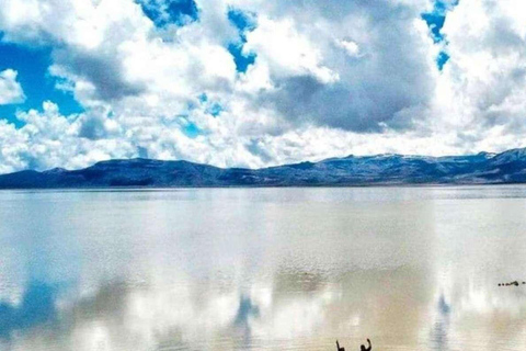 From Arequipa: Excursion to the Salinas Lagoon