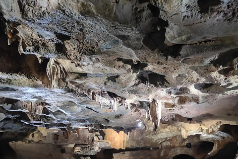 Valencia: Visit by boat to the Caves of Sant Josep Visit by boat to the Caves of Sant Josep